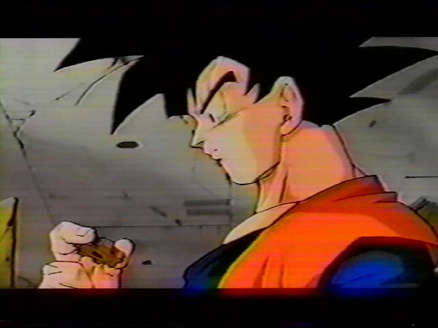 Dragonball Z Movie 13 (7).jpg